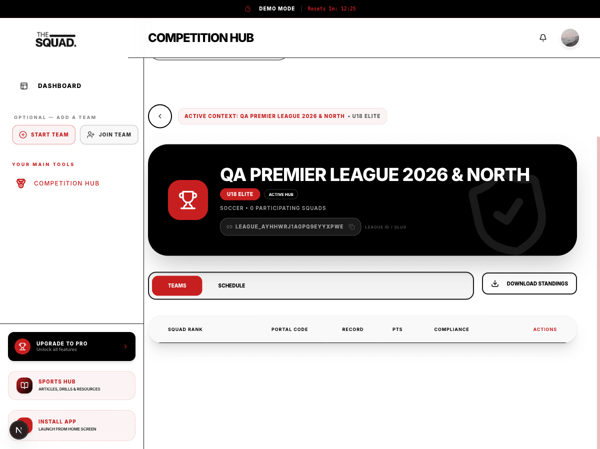 A newly created league in The Squad Competition Hub