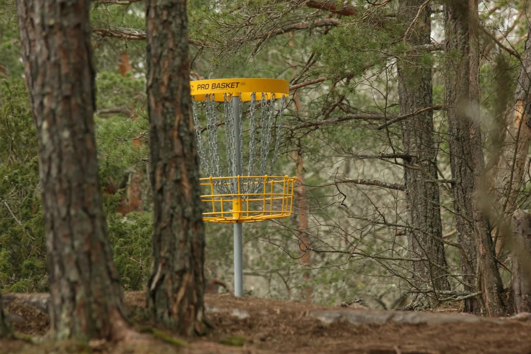 Disc golf basket on a wooded course