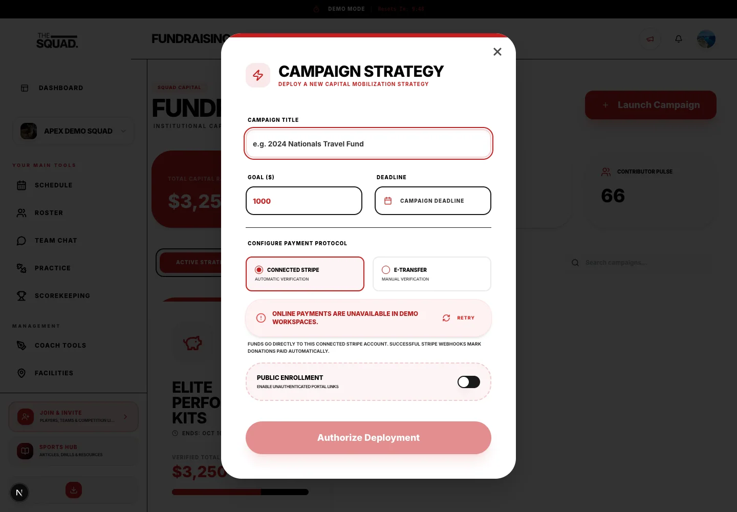 Campaign Strategy contains the goal, deadline and payment method.