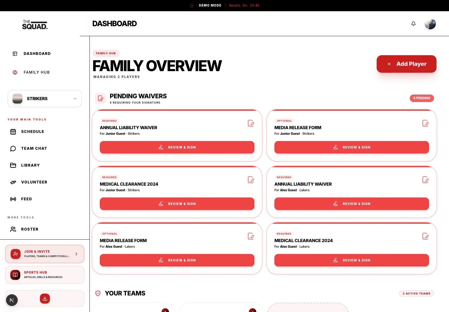 Family Overview combines children, team connections and household actions.