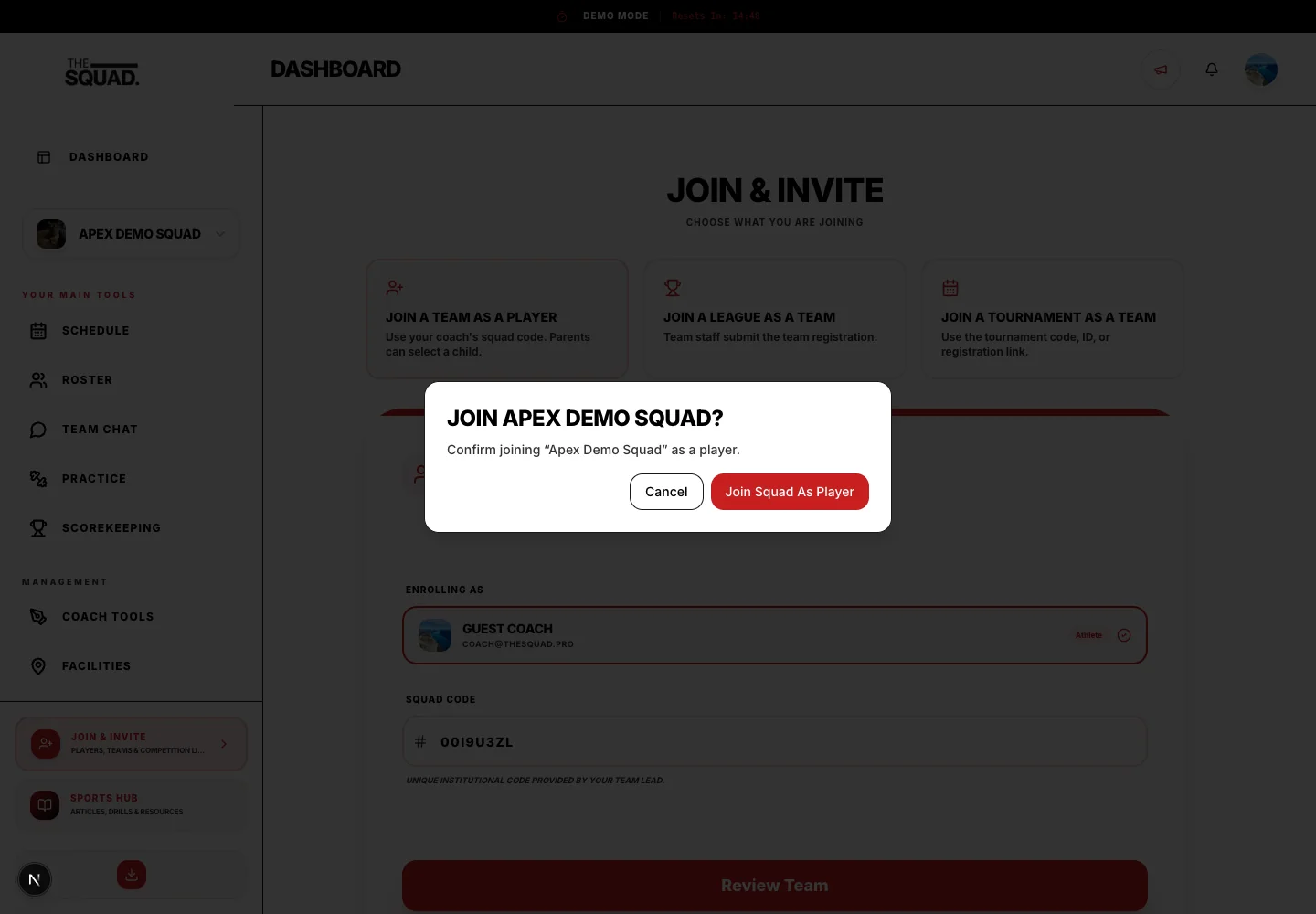 Review the team before confirming membership.